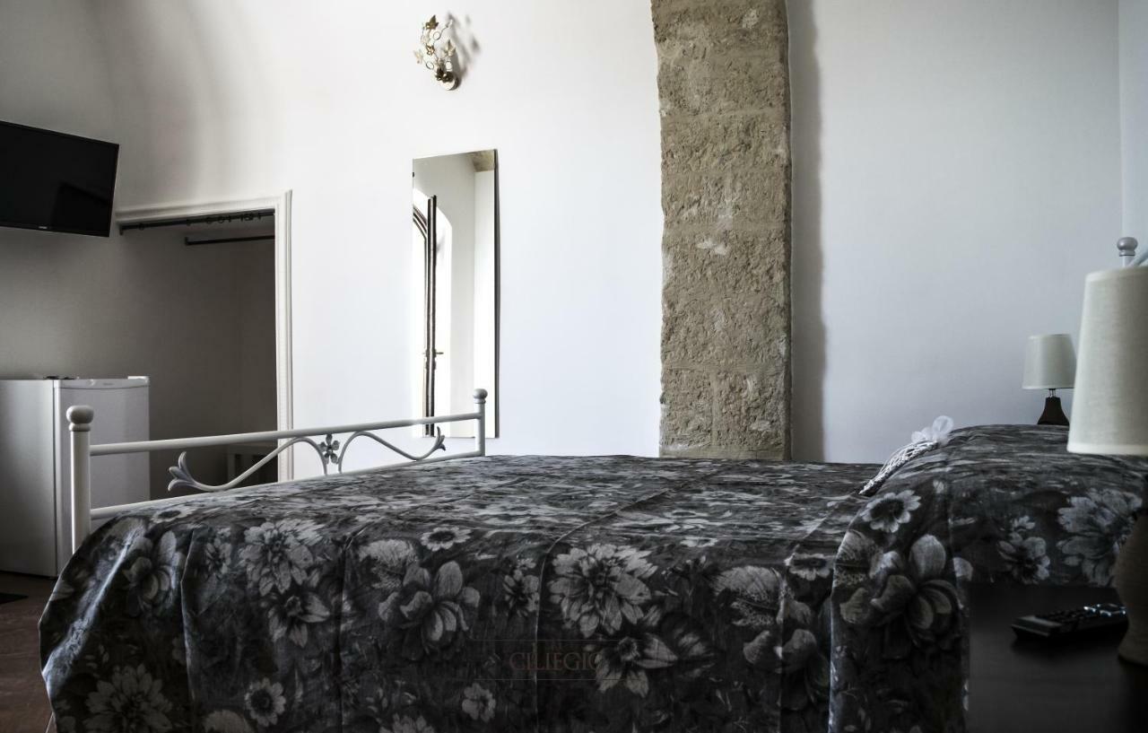 Tenuta Vigna Del Noce Corato Eksteriør billede