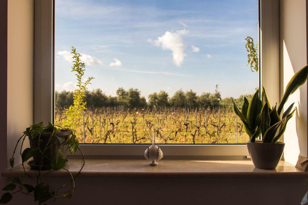 Tenuta Vigna Del Noce Corato Eksteriør billede